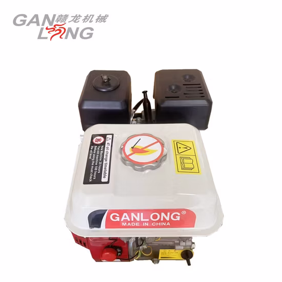 Agricultura Recoil Start 6.5HP Motor a gasolina para venda